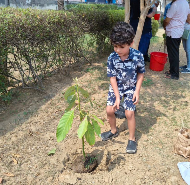 Plantation Programme Image 3