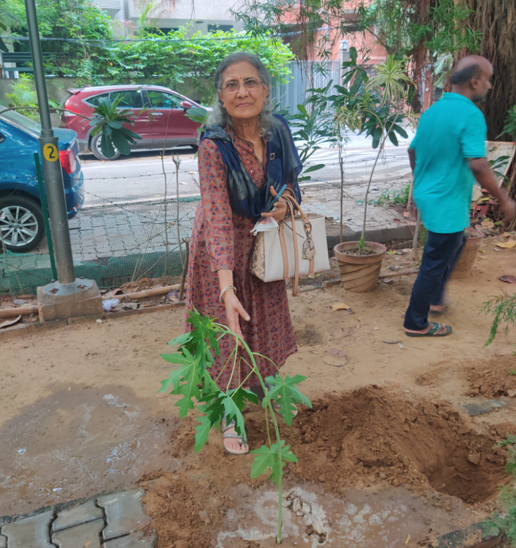 Volunteer activity 1